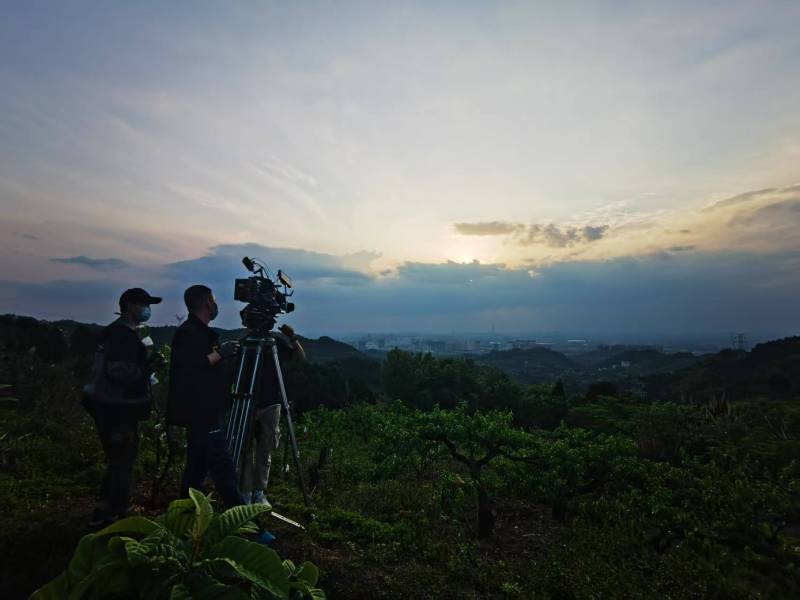 聚焦宁津县产品宣传视频拍摄公司，用专业实力铸就品牌传播传奇